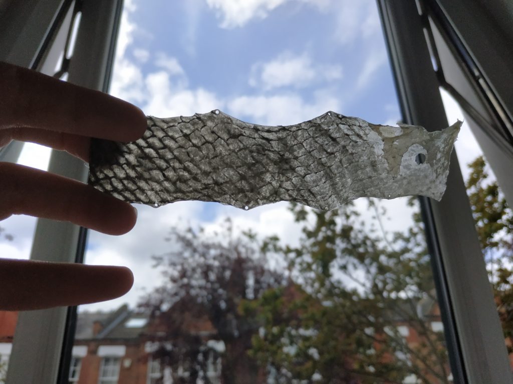 Making fish leather, the final product